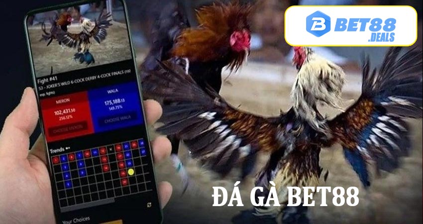 Các sảnh chơi đá gà bet88